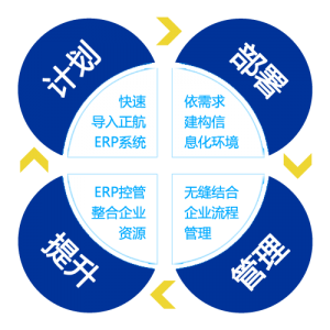 ERP计划、部署、管理与提升闭环