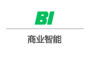 BI商业智能